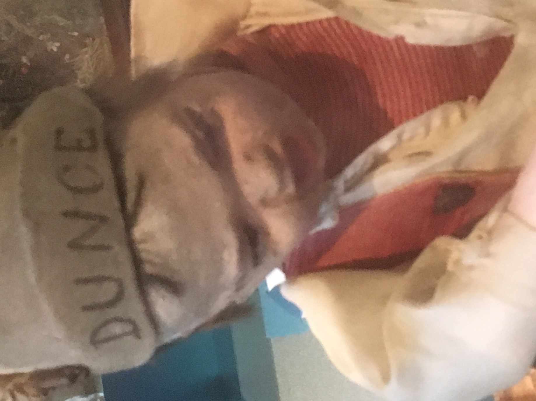 toy with dunce hat from V&A